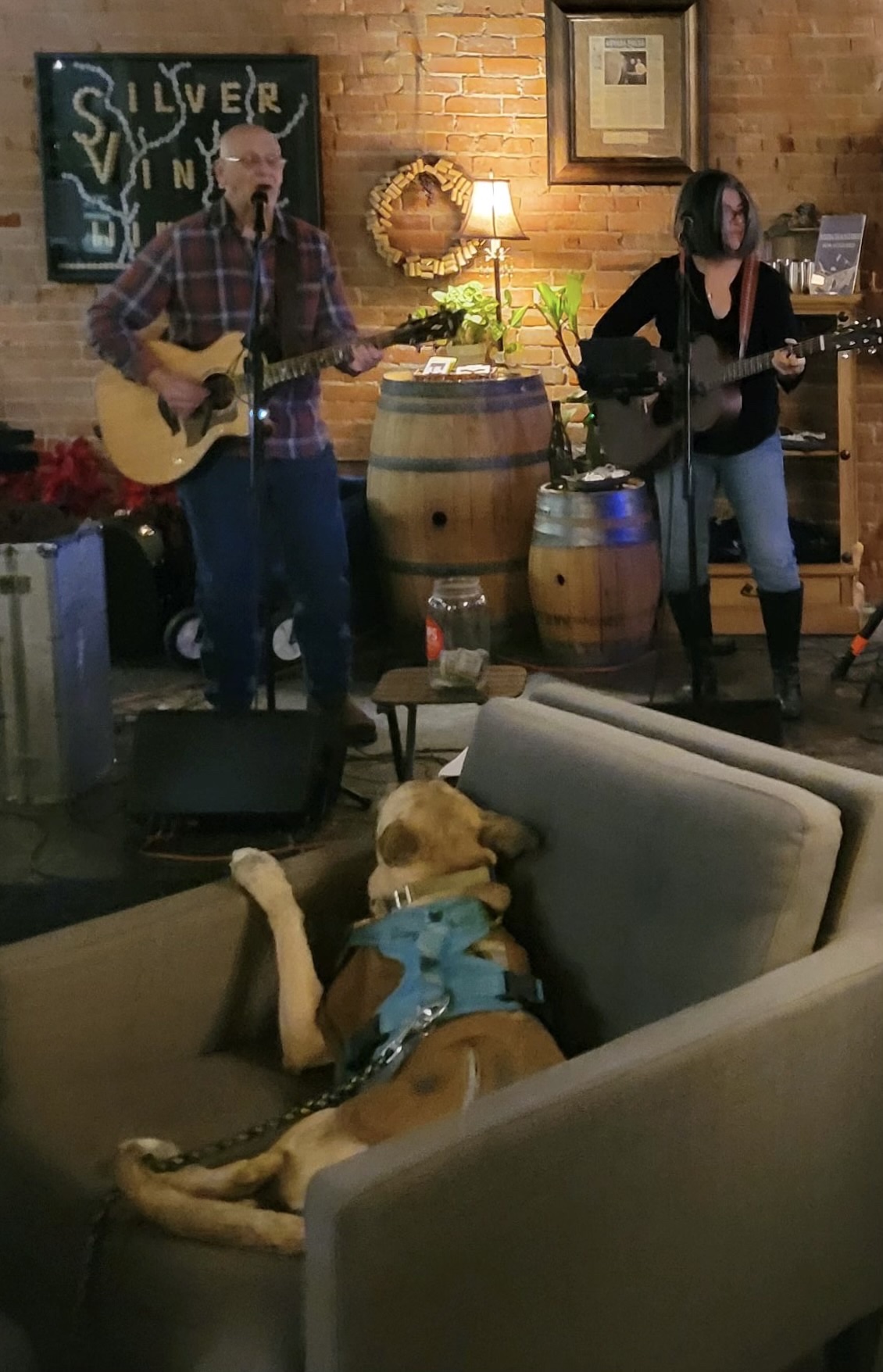 Silver Vines – Michelle Castillo